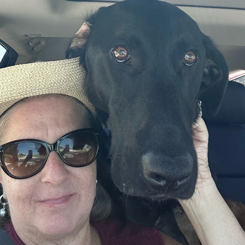 Meet your Posher, Dana